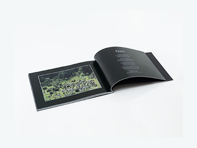 Joe Koch: Literarische Auslese